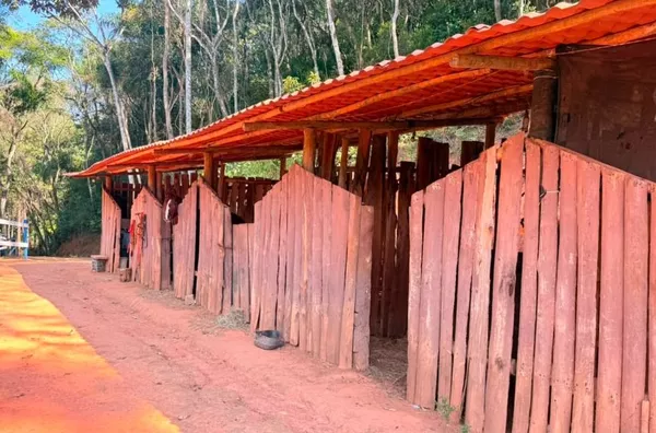 Chácara com 4 dormitórios à venda, 27000 m² por R$ 1.300.000,00 - Jarinu - Jarinu/SP - Foto 13