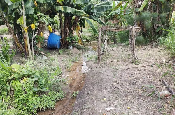 Chácara com 2 casas, nascente com lago e agua corrente - 2770 m² por R$ 450.000 - Parque Niágara - Campo Limpo Paulista/SP - Foto 19