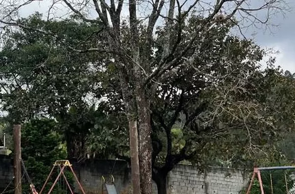 Excelente oportunidade, espaço e lazer, imóvel conta com 03 casas, chácaras à venda, 5006 m² por R$ 890.000 - Pau Arcado - Campo Limpo Paulista/SP - Foto 34