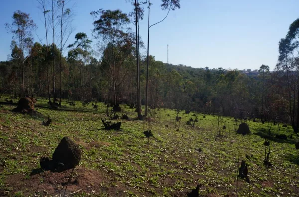 Terreno com 96.000 m² no Residencial Fazenda Marajoara, Campo Limpo Paulista/SP - Foto 2
