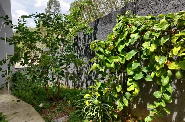 Casa com 4 dormitórios à venda, 404 m² por R$ 2.200.000,00 - Moinho - Campo Limpo Paulista/SP - Foto 22