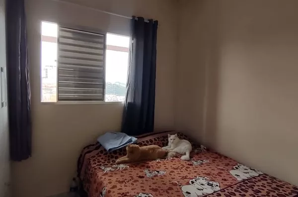 Casa com 6 dormitórios à venda, 280 m² por R$ 450.000 - Conjunto Habitacional São José II - Campo Limpo Paulista/SP - Foto 7