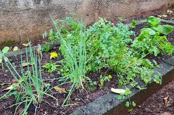 Chácara com 3 dormitórios à venda, 2400 m² por R$ 1.050.000,00 - Videiras Jarinu - Jarinu/SP - Foto 7