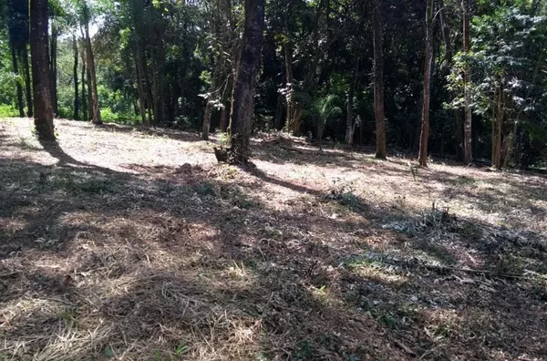 Terreno com 3000 m² - Moinho - Campo Limpo Paulista/SP - Foto 2