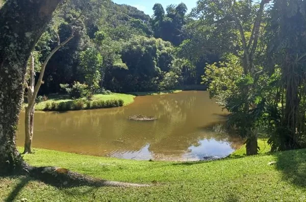 Chácara de alto padrão com 4 suítes à venda, 11500 m² por R$ 5.100.000 - Moinho - Campo Limpo Paulista/SP - Foto 30