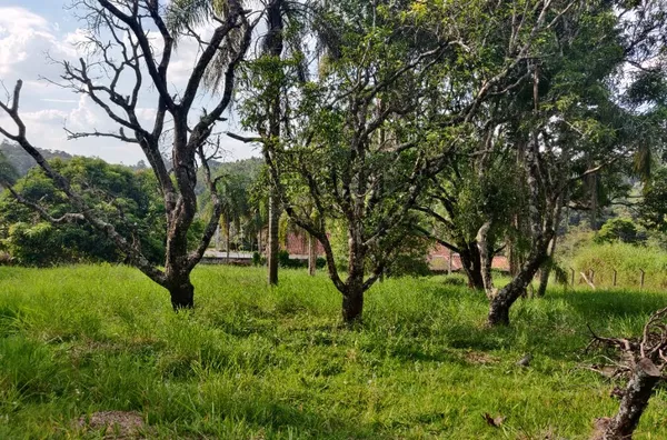 Terreno à venda, 2000 m² por R$ 300.000,00 - Parque Niágara - Campo Limpo Paulista/SP - Foto 5