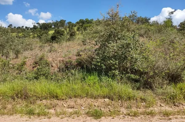 Terreno à venda por R$ 200.000 - 5.000 m2 em aclive suave - Colinas do Pontal (Botujuru) - Foto 9
