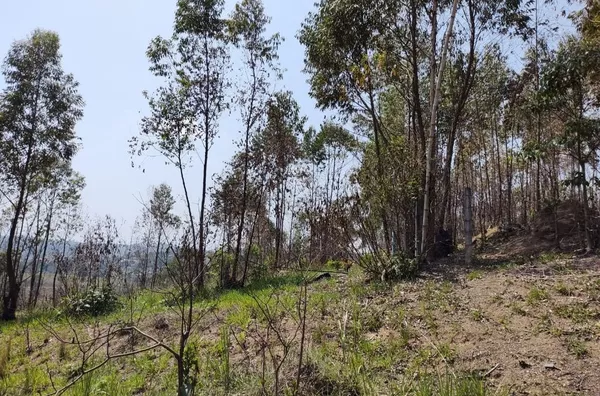 Terreno à venda, 20038 m² por R$ 150.000,00 - Botujuru (Botujuru) - Campo Limpo Paulista/SP