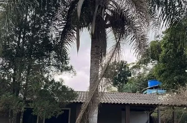 Excelente oportunidade, espaço e lazer, imóvel conta com 03 casas, chácaras à venda, 5006 m² por R$ 890.000 - Pau Arcado - Campo Limpo Paulista/SP - Foto 40