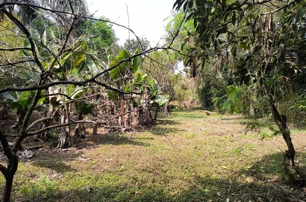 Chácara com duas casas à venda, 2054 m² por R$ 350.000 - Parque Niágara - Campo Limpo Paulista/SP - Foto 8