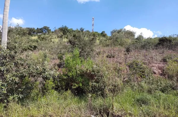 Terreno à venda por R$ 200.000 - 5.000 m2 em aclive suave - Colinas do Pontal (Botujuru) - Foto 12