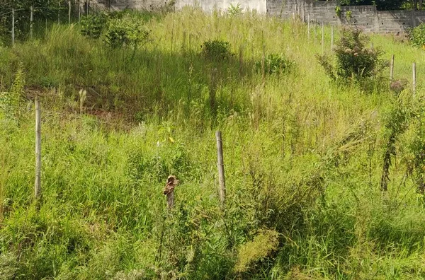 Terreno à venda, 501 m² por R$ 205.000,00 - Jardim Santa Branca - Campo Limpo Paulista/SP