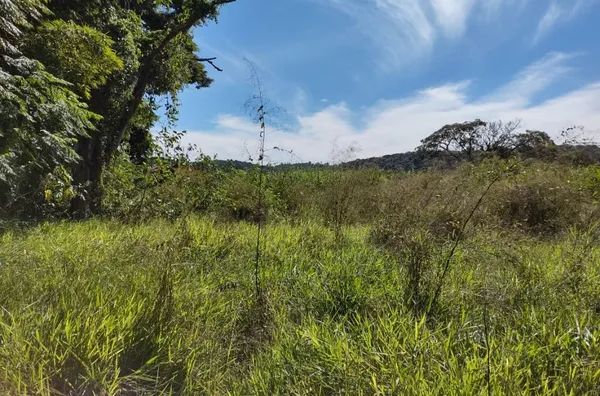 Terreno à venda, 28000 m² por R$ 9.800.000,00 - Vila Tavares - Campo Limpo Paulista/SP - Foto 13