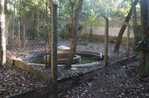 Chácara completa com casa, piscina, churrasqueira, casa caseiro, campo, capela, salão de jogos, 18000 m² - Soares - Jarinu/SP - Foto 12