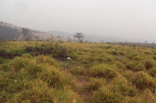 Área para loteamento na Fazenda Barrocão em Campo Limpo Paulista S.P. - Foto 6