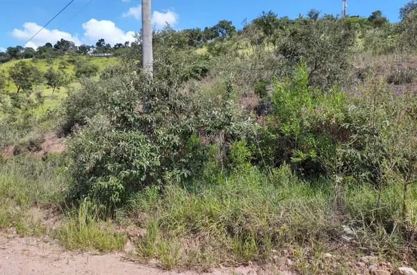Terreno à venda por R$ 200.000 - 5.000 m2 em aclive suave - Colinas do Pontal (Botujuru) - Foto 10