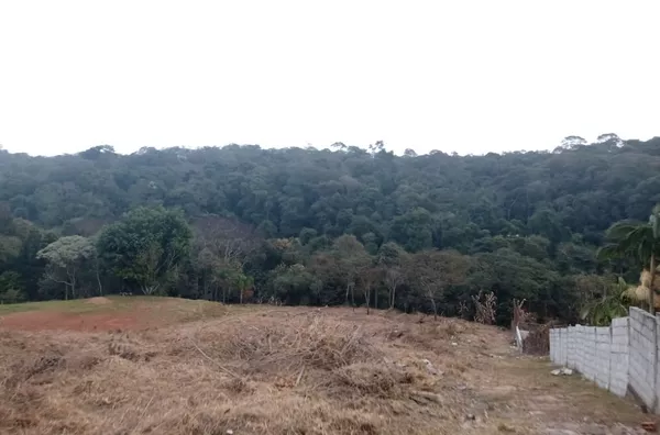 Terreno à venda, 5010 m² por R$ 450.000,00 - Pau Arcado - Campo Limpo Paulista/SP - Foto 1
