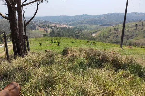 Terreno à venda, 20038 m² por R$ 150.000,00 - Botujuru (Botujuru) - Campo Limpo Paulista/SP - Foto 7