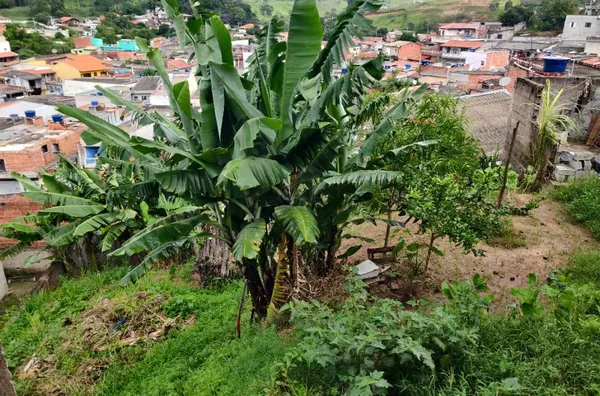 Casa com 2 dormitórios à venda, 68 m² por R$ 270.000 - Botujuru - Campo Limpo Paulista/SP - Foto 13