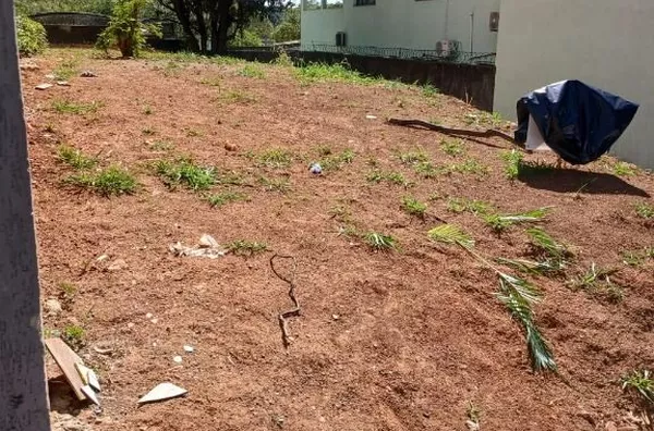 Excelente oportunidade, terreno à venda, 261 m² por R$ 600.000 - Vila Thomazina - Campo Limpo Paulista/SP