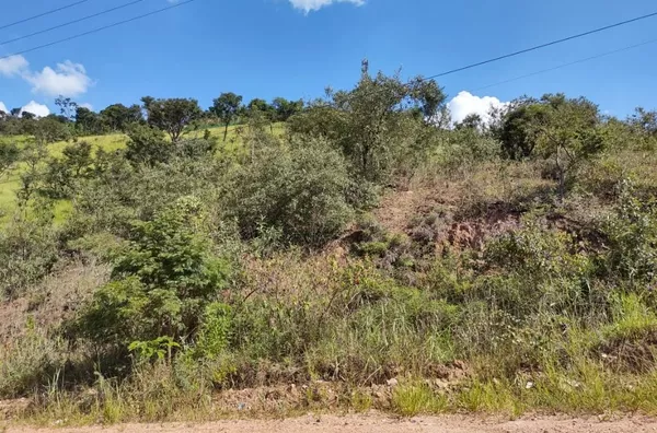 Terreno à venda por R$ 200.000 - 5.000 m2 em aclive suave - Colinas do Pontal (Botujuru) - Foto 13