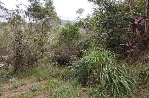 Chácara com 1 dormitório à venda, 10.000 m² por R$ 270.000 - Botujuru (Botujuru) - Campo Limpo Paulista/SP - Foto 8