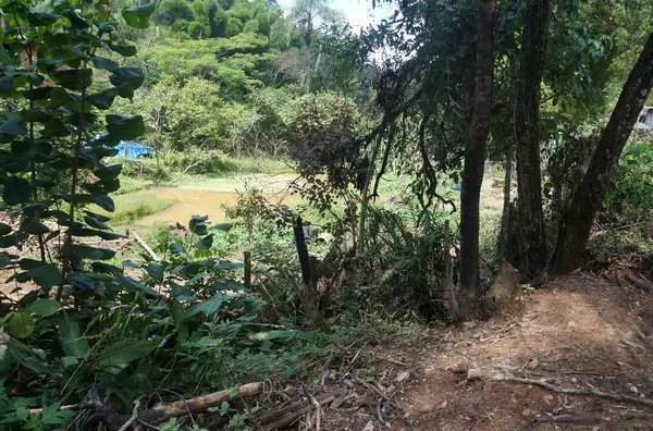 Terreno com 6.150m² Chácaras Campo Limpo/SP - Foto 2