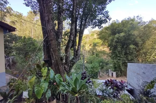Chácara com 2 casas, pomar, poço, jardim e bosque, 7119 m² por R$ 400.000 - Chácaras Campo Limpo - Campo Limpo Paulista/SP - Foto 20