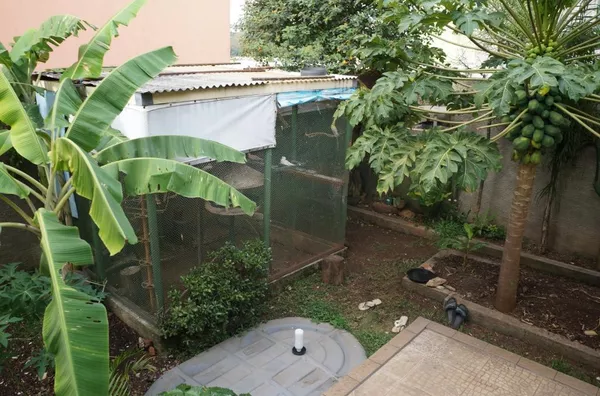 4 dorm (2 suite) , Churrasqueira, sala cinema, amplo quintal - Centro - Campo Limpo Paulista - SP - Foto 6