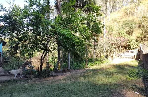 Chácara com 2 dormitórios à venda, 3505 m² por R$ 200.000 - Chácaras Campo Limpo - Campo Limpo Paulista/SP - Foto 13