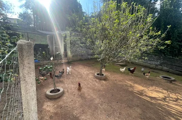 Chácara com 2 dormitórios sendo 1 suíte e segunda casa em fase de acabamento à venda, 5000 m² por R$ 960.000 - Pau Arcado - Campo Limpo Paulista/SP - Foto 30