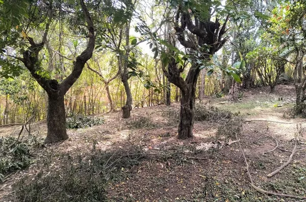 Chácara com duas casas à venda, 2054 m² por R$ 350.000 - Parque Niágara - Campo Limpo Paulista/SP - Foto 10