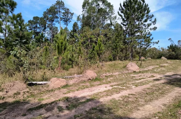 Chácara no Loteamento Cerro Azul em Campo Limpo Paulista, R$ 450 mil - Foto 13