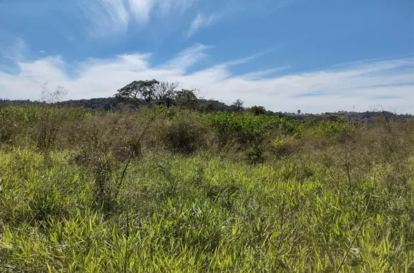 Terreno à venda, 28000 m² por R$ 9.800.000,00 - Vila Tavares - Campo Limpo Paulista/SP - Foto 12