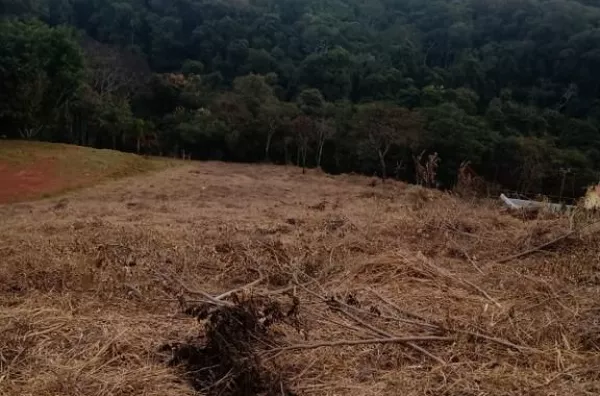 Terreno à venda, 5010 m² por R$ 450.000,00 - Pau Arcado - Campo Limpo Paulista/SP - Foto 3