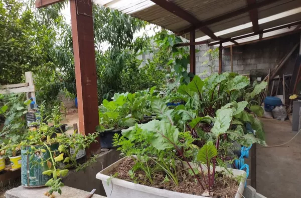 Casa com 2 dormitórios à venda, 260 m² por R$ 550.000,00 - Jardim Vera Regina - Campo Limpo Paulista/SP - Foto 29