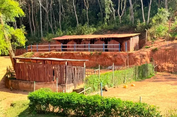 Chácara com 4 dormitórios à venda, 27000 m² por R$ 1.300.000,00 - Jarinu - Jarinu/SP - Foto 14