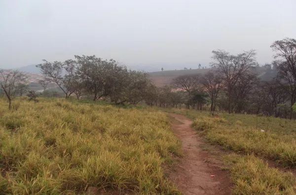 Área para loteamento na Fazenda Barrocão em Campo Limpo Paulista S.P.