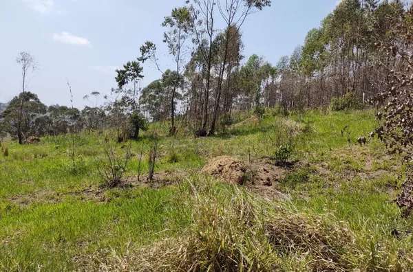Terreno à venda, 20038 m² por R$ 150.000,00 - Botujuru (Botujuru) - Campo Limpo Paulista/SP - Foto 11