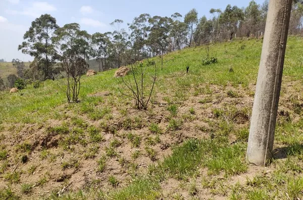 Terreno à venda, 20038 m² por R$ 150.000,00 - Botujuru (Botujuru) - Campo Limpo Paulista/SP