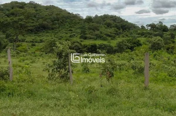 OPORTUNIDADE ÚNICA! FAZENDA DE 700 HECTARES À VENDA! 
