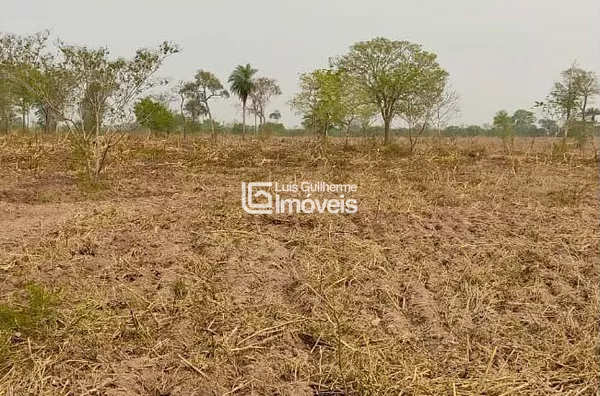 OPORTUNIDADE ÚNICA! FAZENDA DE 700 HECTARES À VENDA! 