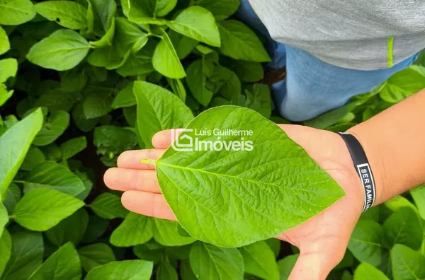 Ótima oportunidade para investimento!