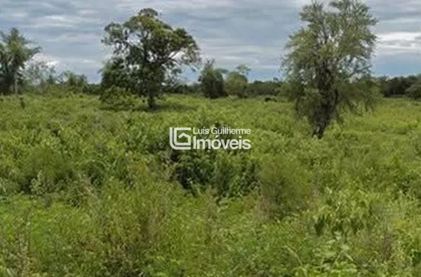 OPORTUNIDADE ÚNICA! FAZENDA DE 700 HECTARES À VENDA! 