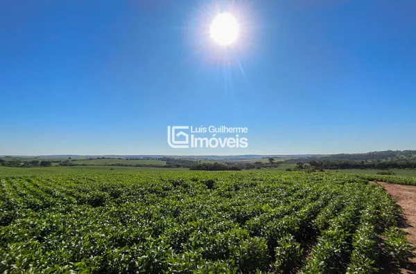 Ótima oportunidade para investimento!