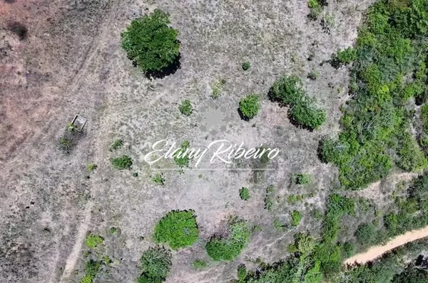 Fazenda Teimonde - Foto 6