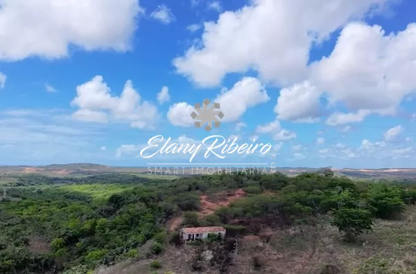 Fazenda Teimonde - Foto 4