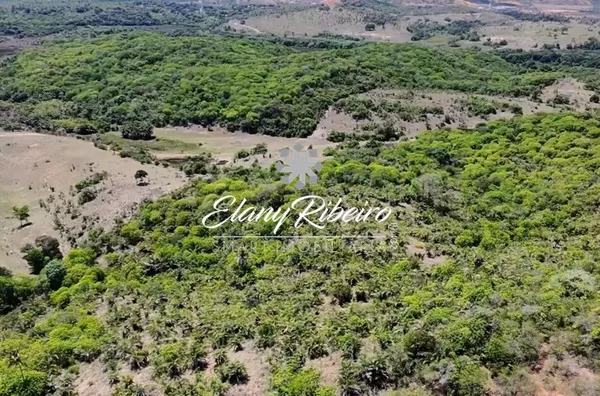 Fazenda Teimonde - Foto 1