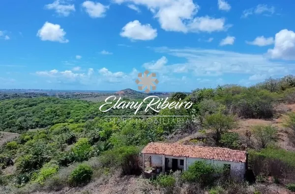 Fazenda Teimonde - Foto 5