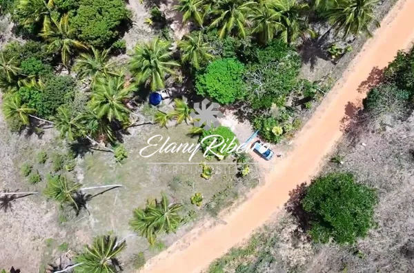 Fazenda Teimonde - Foto 3